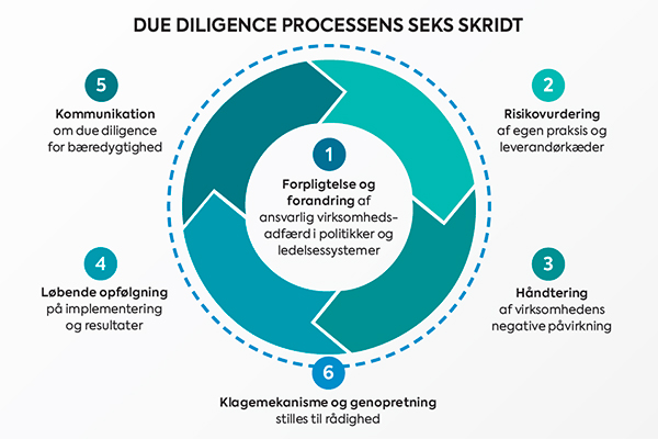 "Due diligence processens ” de seks skridt, der er udviklet af OECD: 1) Forpligtelse og forandring, 2) Risikovurdering, 3) Håndtering, 4) Løbende opfølgning, 5) Kommunikation, 6) Klagemekanisme og genopretning. 
